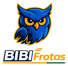 Bibi Frotas